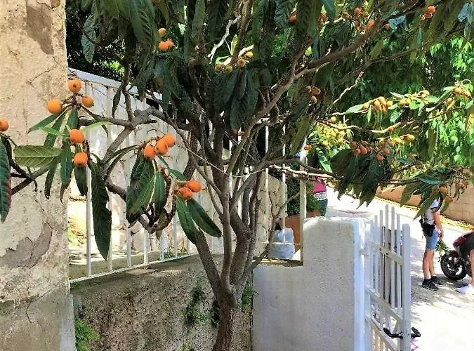 Stella Mia With A Sea View Apartman Dubrovnik