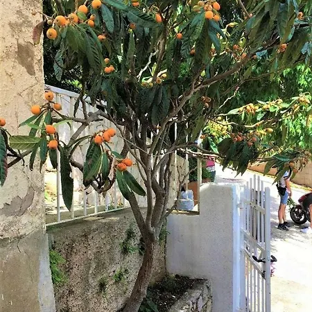 Stella Mia With A Sea View Apartamento Dubrovnik